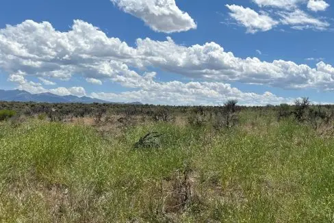 20 acres near Ryndon, NV