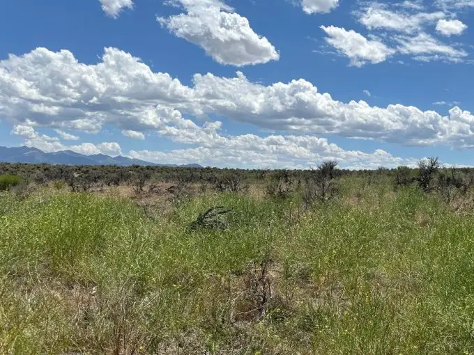 20 acres near Ryndon, NV